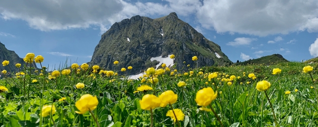 Übersichtsbild